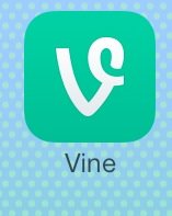 vine